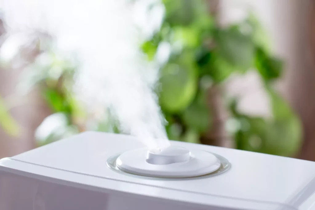 house humidifier